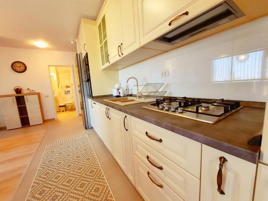 Beautiful Panoramic Central Apartment - City Of Mara Timisoara Exterior foto